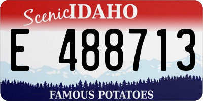 ID license plate E488713