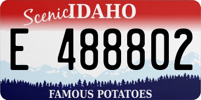 ID license plate E488802