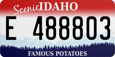 ID license plate E488803