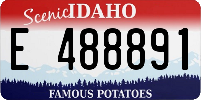 ID license plate E488891