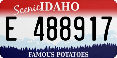 ID license plate E488917