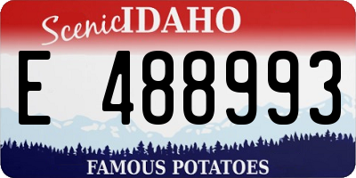ID license plate E488993
