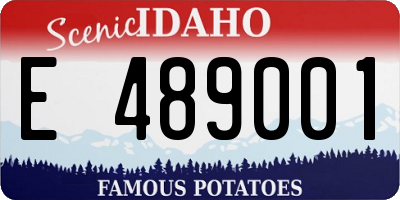ID license plate E489001