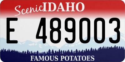 ID license plate E489003