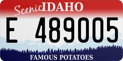 ID license plate E489005