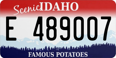 ID license plate E489007