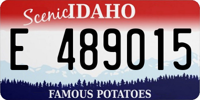 ID license plate E489015