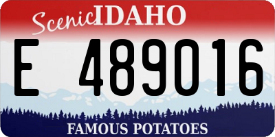 ID license plate E489016