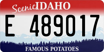 ID license plate E489017