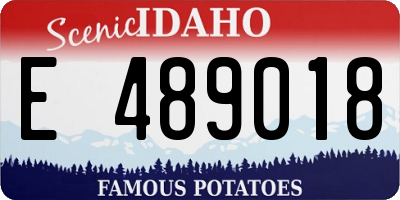 ID license plate E489018