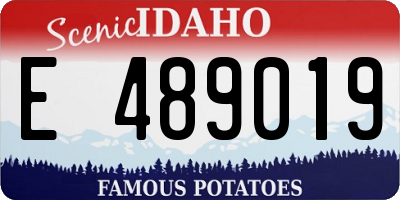 ID license plate E489019
