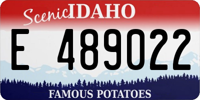 ID license plate E489022