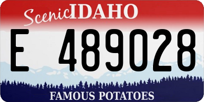ID license plate E489028
