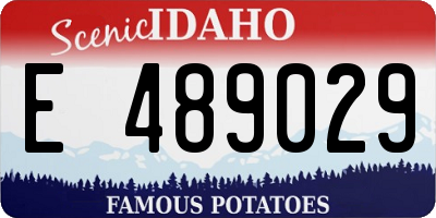 ID license plate E489029