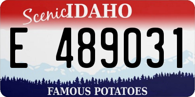 ID license plate E489031