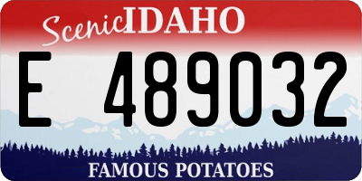 ID license plate E489032