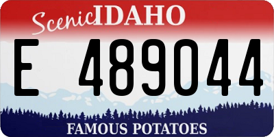 ID license plate E489044