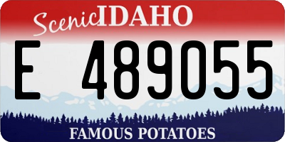 ID license plate E489055