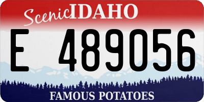 ID license plate E489056
