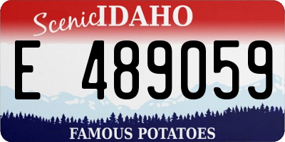 ID license plate E489059