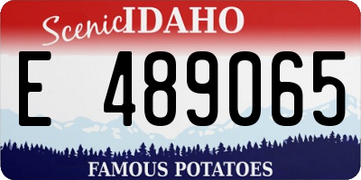 ID license plate E489065
