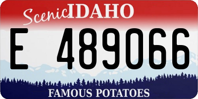 ID license plate E489066