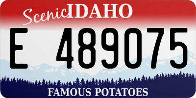 ID license plate E489075