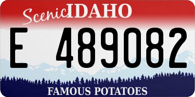 ID license plate E489082