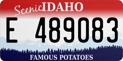 ID license plate E489083