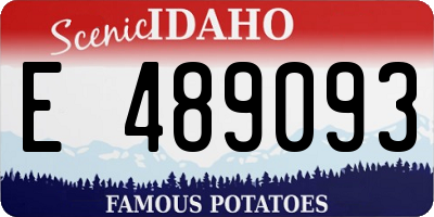 ID license plate E489093