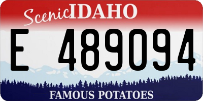 ID license plate E489094