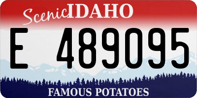 ID license plate E489095