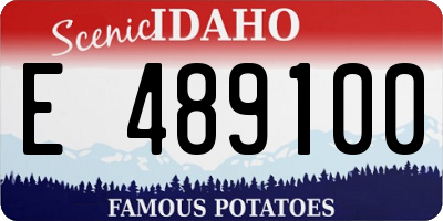 ID license plate E489100