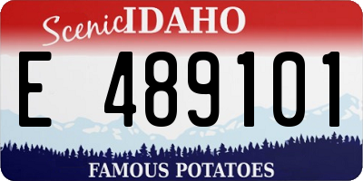 ID license plate E489101