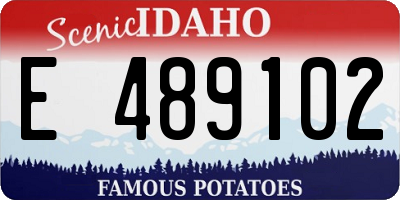 ID license plate E489102