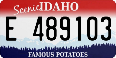 ID license plate E489103