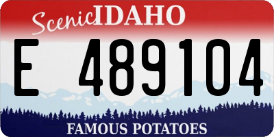 ID license plate E489104