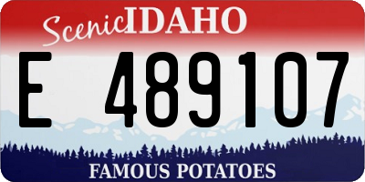ID license plate E489107