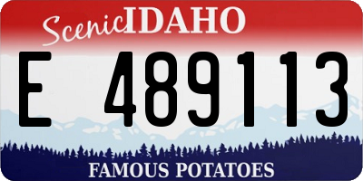ID license plate E489113