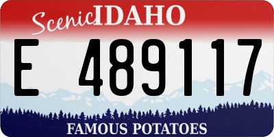ID license plate E489117