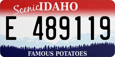 ID license plate E489119
