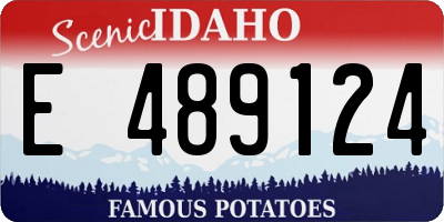 ID license plate E489124