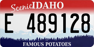 ID license plate E489128
