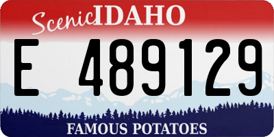 ID license plate E489129