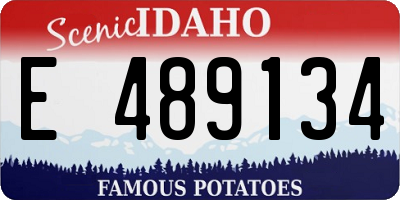 ID license plate E489134
