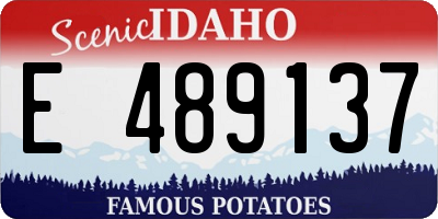 ID license plate E489137