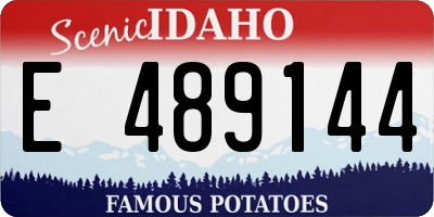 ID license plate E489144