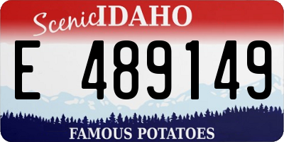 ID license plate E489149