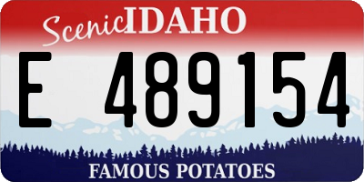 ID license plate E489154