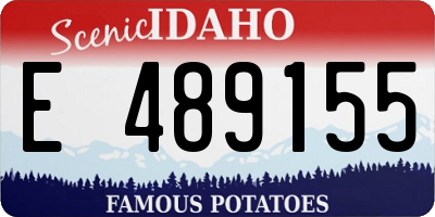 ID license plate E489155